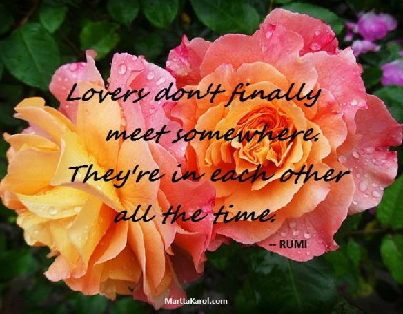 Rumi quote Lovers don't finally meet somewhere. They're in each other all the time. over two pink and yellow roses.