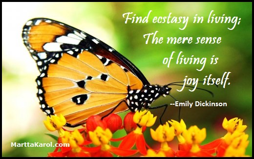 quote-emily-dickinson-find-ecstasty-in-living-image-african-monarch-butterfly-per-free-picture.net