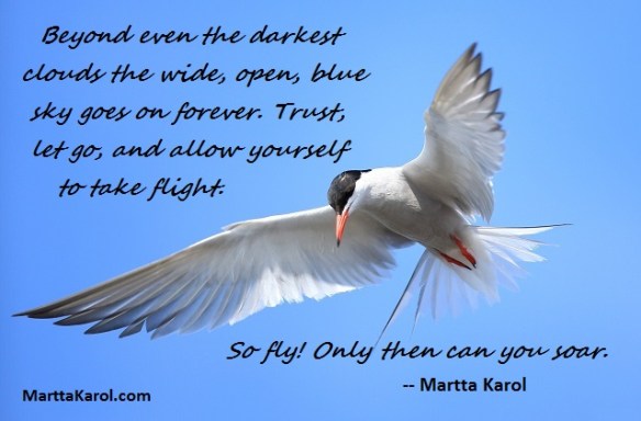Martta-Karol-quote-on-flying-white-gull-blue-sky